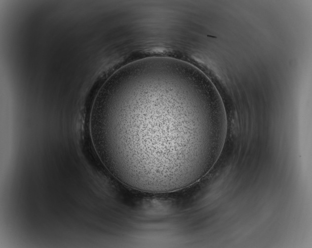 X0000093260739200710031603