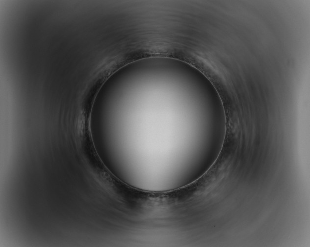 X0000093260744200710031603