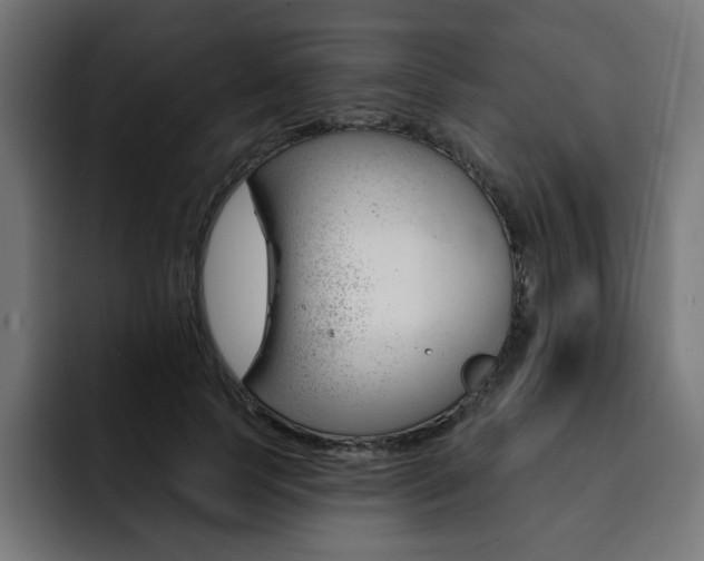 X0000093260745200710031603