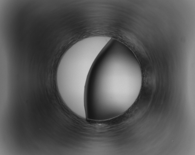 X0000093260748200710031603