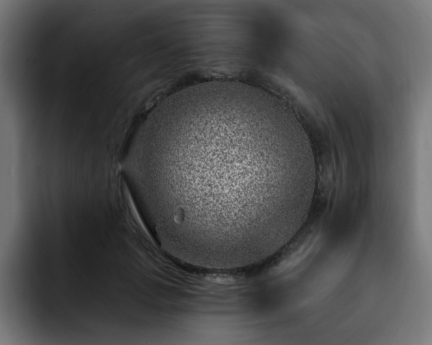 X0000093260749200710031603