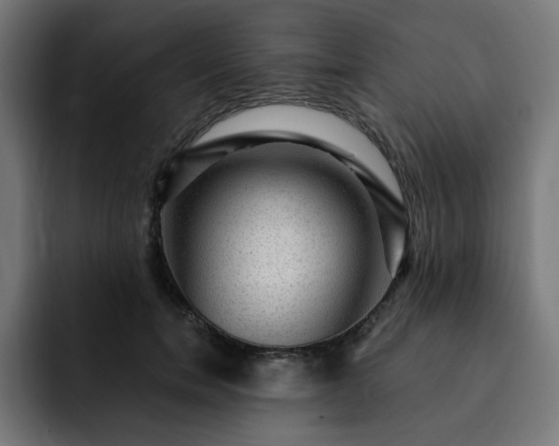 X0000093260750200710031603