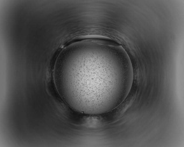 X0000093260751200710031603