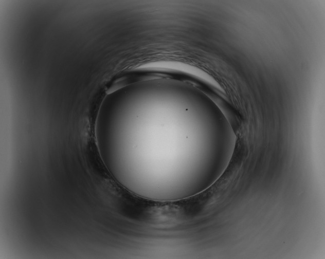 X0000093260752200710031603