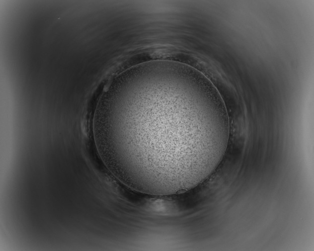 X0000093260755200710031603