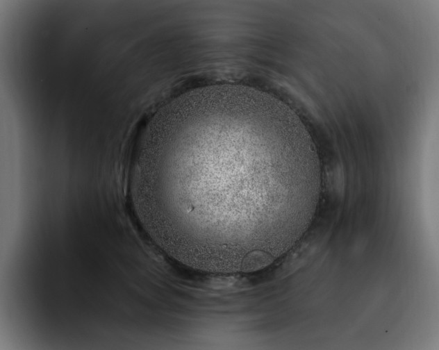 X0000093260757200710031603