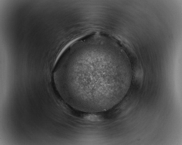 X0000093260759200710031603