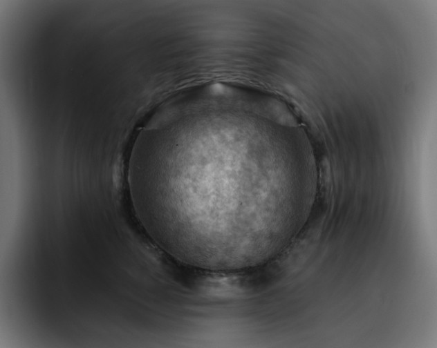 X0000093260760200710031603