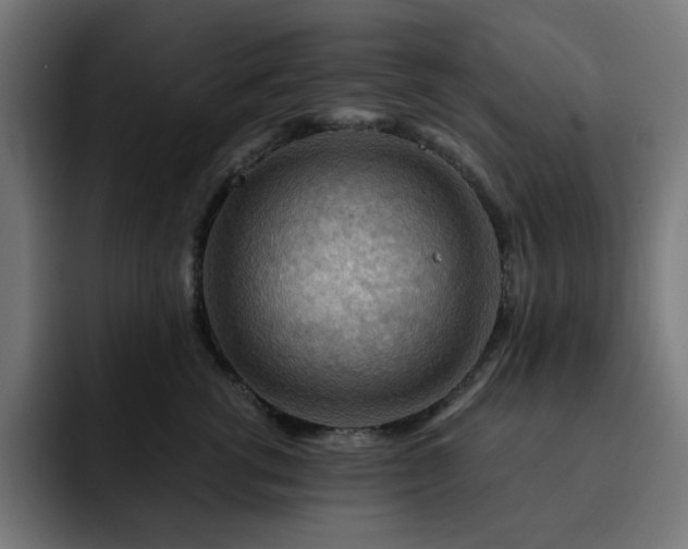 X0000093260762200710031604