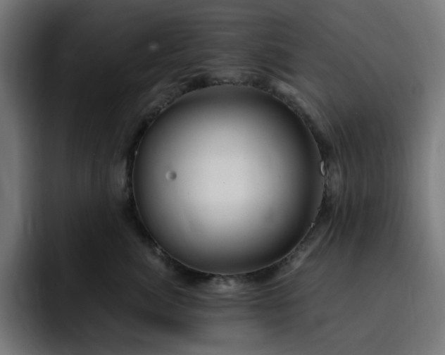 X0000093260764200710031604