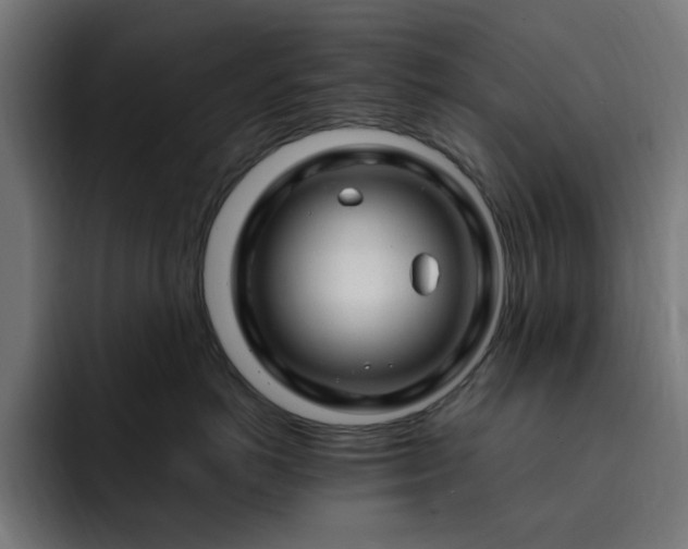 X0000093260766200710031604