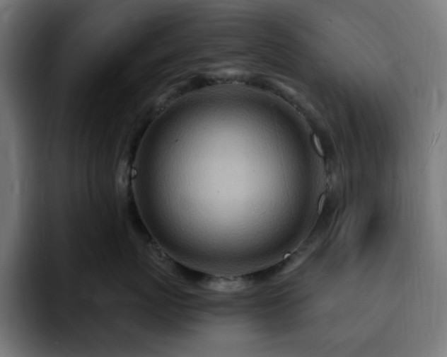 X0000093260767200710031604