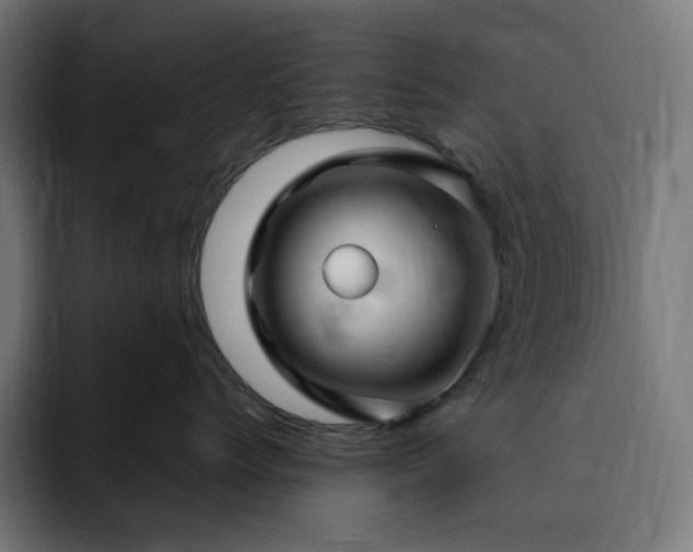 X0000093260768200710031604