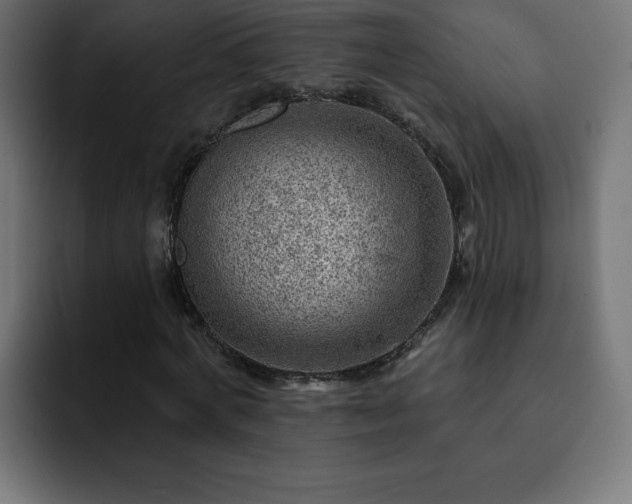 X0000093260772200710031603