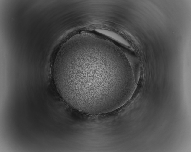 X0000093260776200710031603