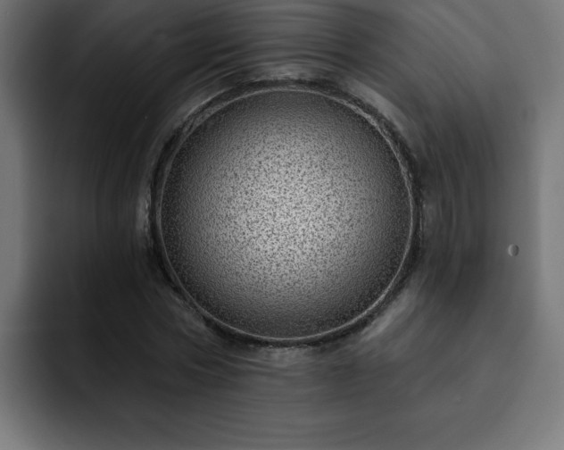 X0000093260778200710031603