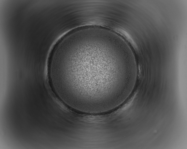 X0000093260780200710031603