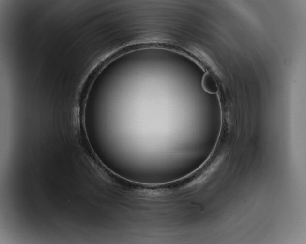 X0000093260781200710031603