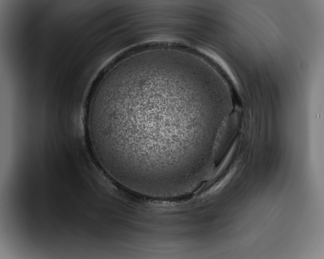 X0000093260783200710031603