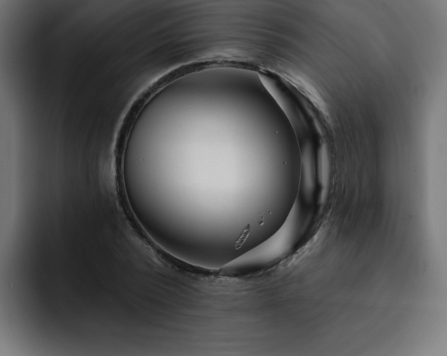 X0000093260784200710031603