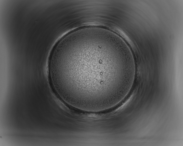 X0000093260787200710031603