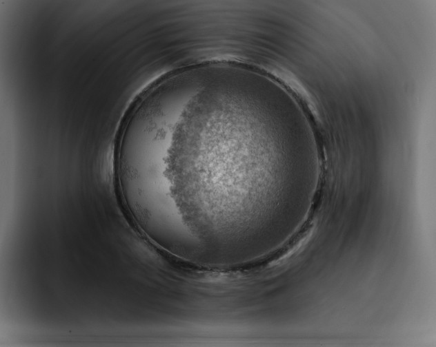 X0000093260790200710031603