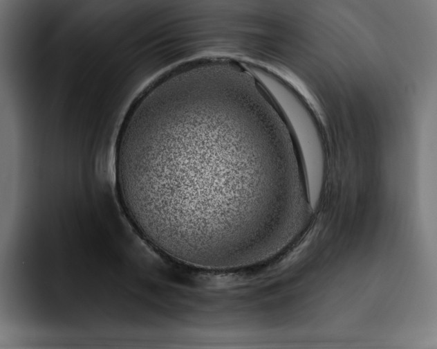 X0000093260791200710031603