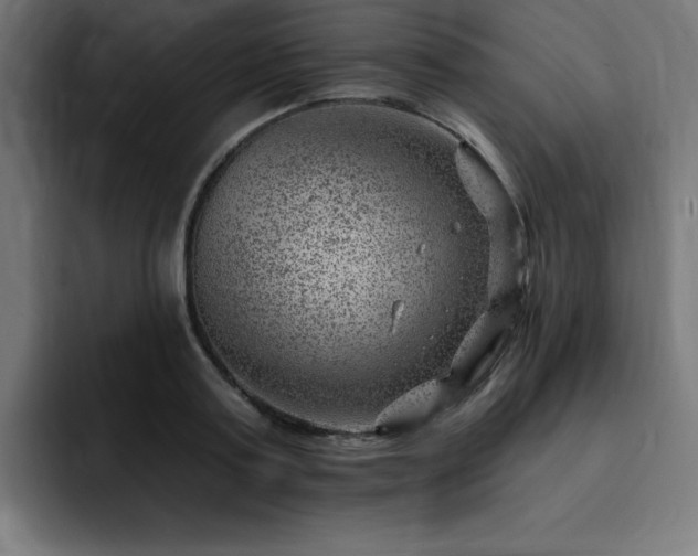 X0000093260795200710031603