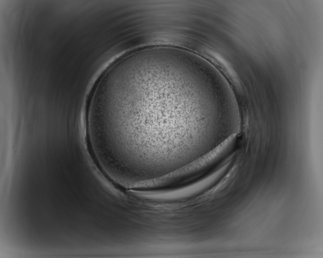 X0000093260796200710031603