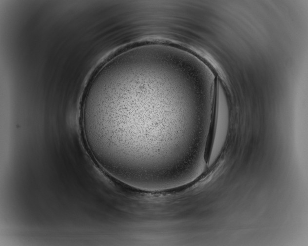 X0000093260799200710031603