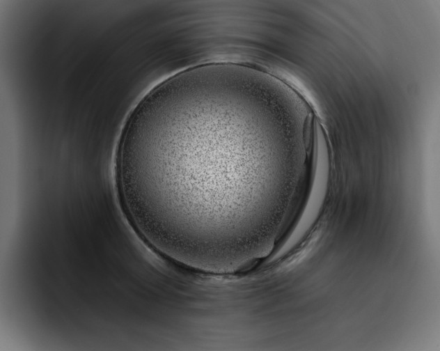 X0000093260803200710031603