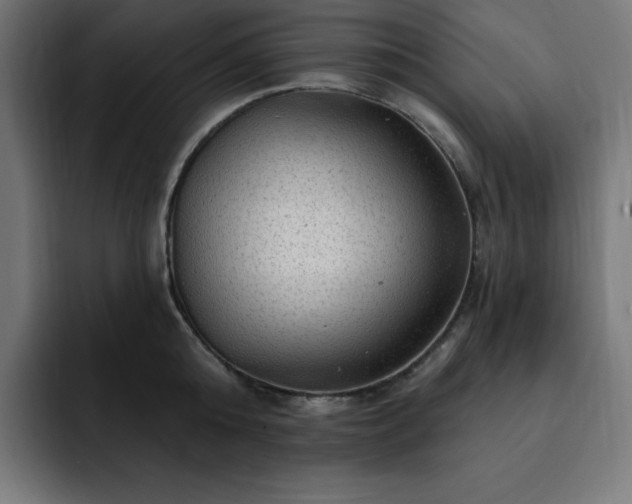 X0000093260808200710031603