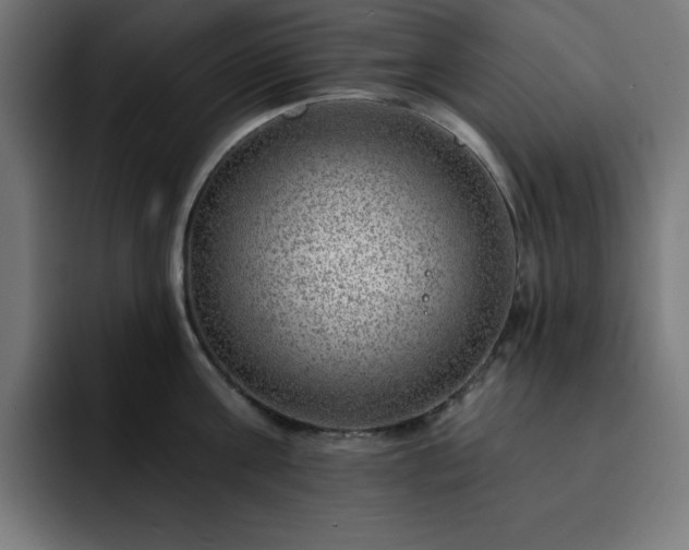 X0000093260811200710031603