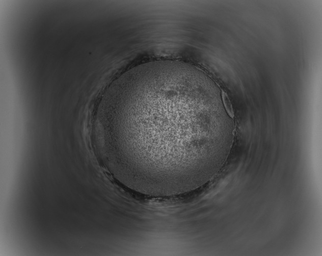 X0000093260817200710031602