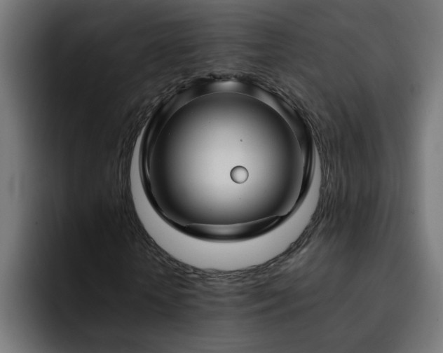 X0000093260818200710031602