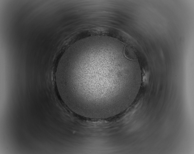 X0000093260819200710031602