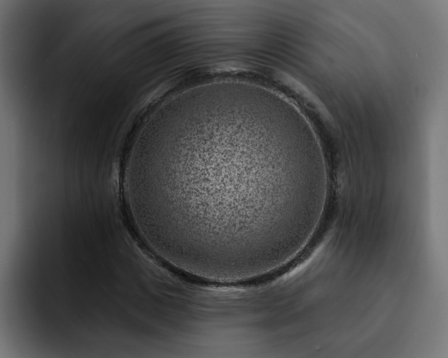 X0000093260825200710031602