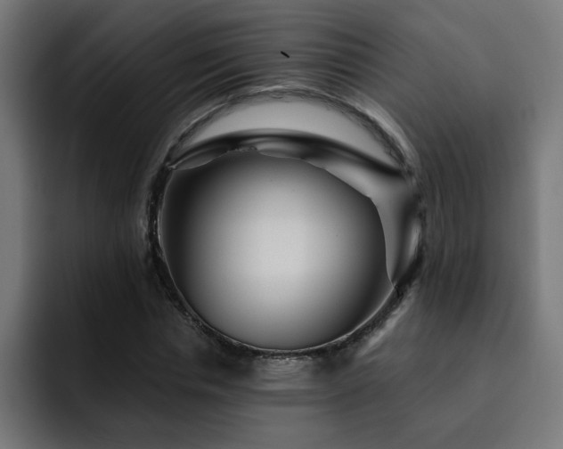 X0000093260826200710031602