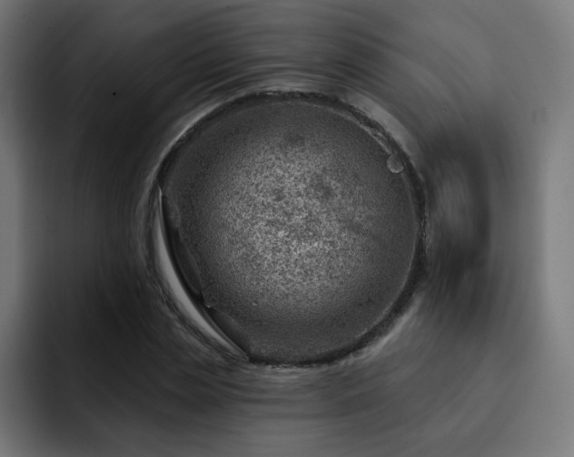 X0000093260829200710031602