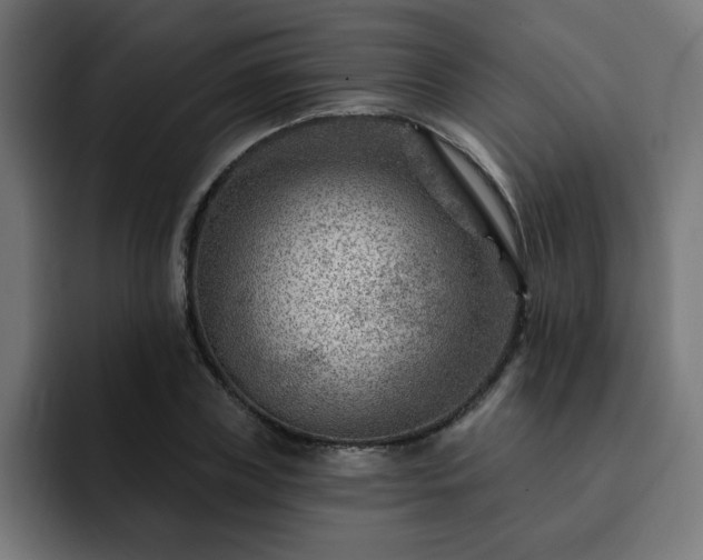 X0000093260835200710031602