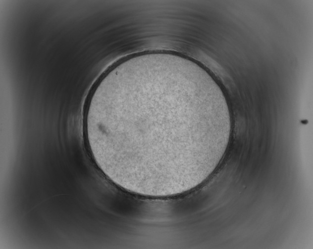 X0000093260836200710031602