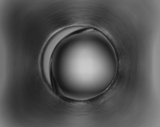 X0000093260838200710031602