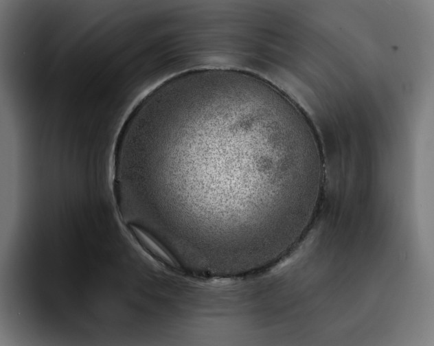 X0000093260839200710031602