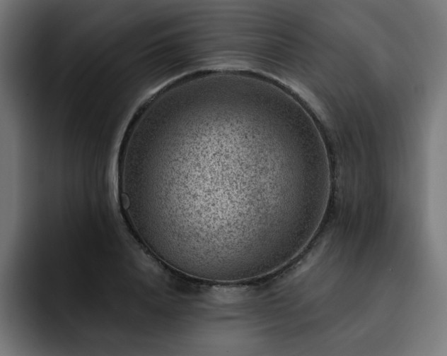 X0000093260840200710031602