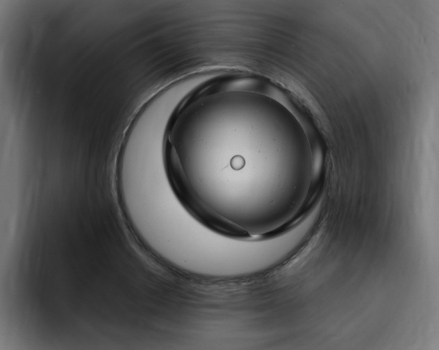 X0000093260842200710031602