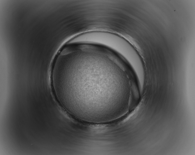 X0000093260846200710031602