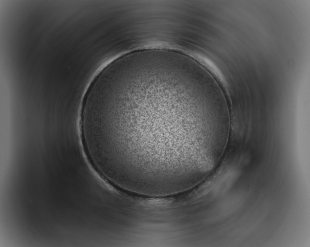 X0000093260847200710031602