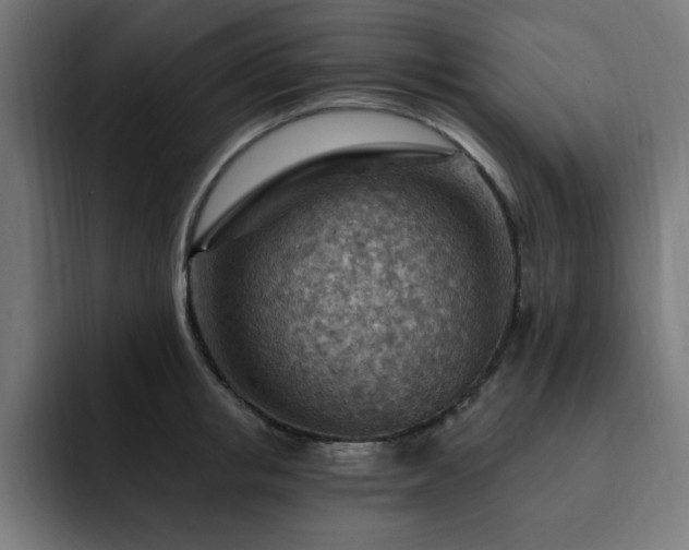 X0000093260853200710031602