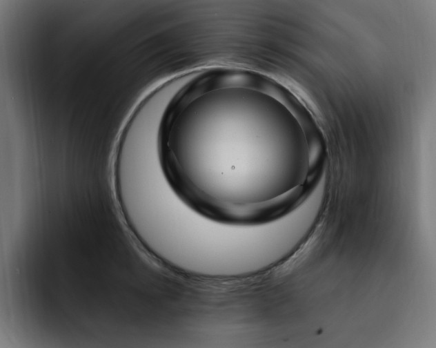 X0000093260854200710031602