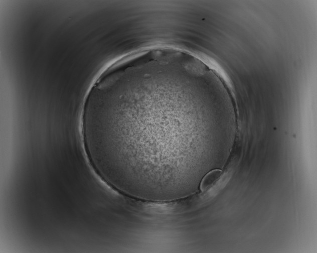 X0000093260855200710031602